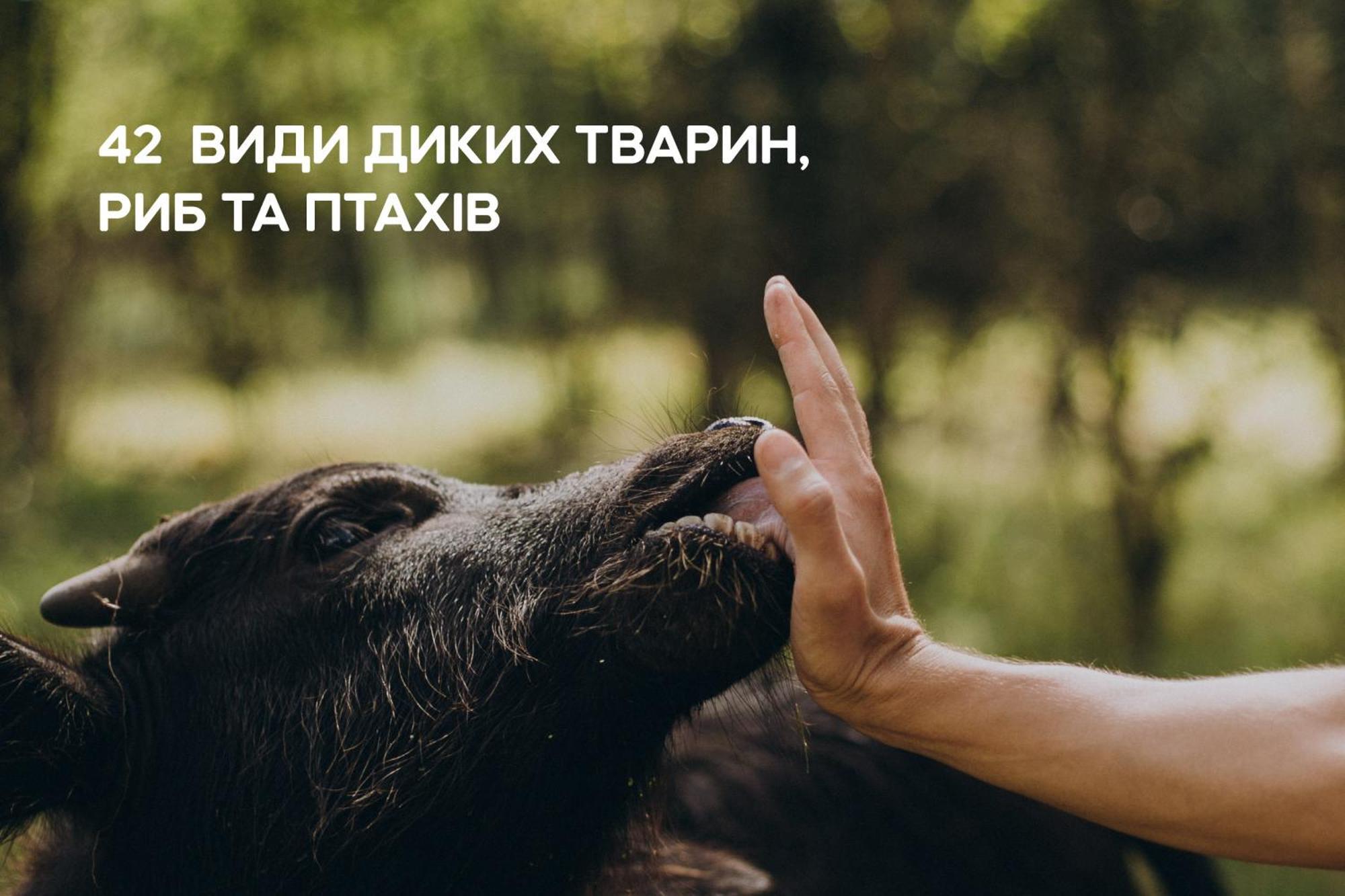 Dereville Sokolovka Экстерьер фото